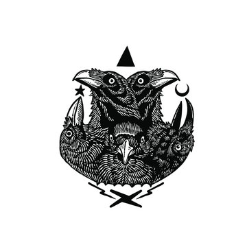 Raven Crow Vector Illustration