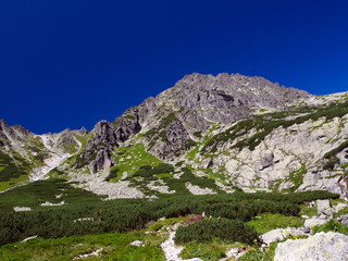 Fototapeta na wymiar mountain landscape in the tatras. Slovakia