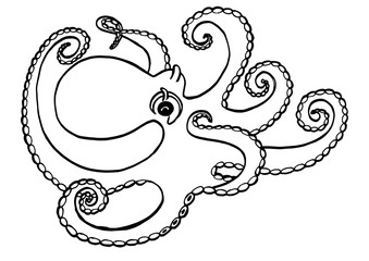 Underwater octopus cuttlefish, squid, devil . Beautiful drawings with patterns.