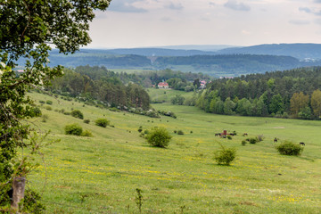 Am Rande des Th&uuml;ringer Waldes zwischen Crawinkel und Frankenhain
