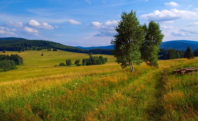 Summer landscape in the mountains. Summer landscape in the mountains. Golden Mountains. Sudetes. Czech Republic.