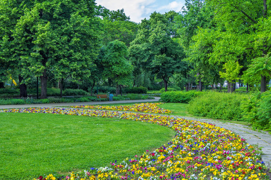 Landscape With Beautiful Summer Park With No People– Colorful Flowers, Green Lawn, Footpath, Bushes And Trees. 