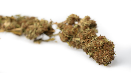 CBD - Legal marijuana