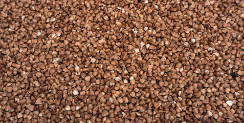 Raw buckwheat close-up. Buckwheat porridge.