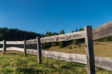 Fototapeta na wymiar A rural fence with pastures in the Trentino Dolomites. Wooden boards aged by the sun and rain. An autumn day, the blue color dominates the cloudless sky. Spruce woods in the background. Italy