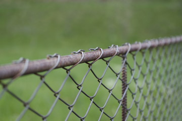Fototapeta premium barbed wire fence