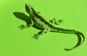  Iguana on a green background. Toys for kids. Play with children. Copy space. Horizontal format.