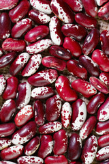 Bright beans close-up. Food background. Background texture of red bean grains. Top view on spotted bean beans. Vertical. The concept of a healthy diet and agriculture.