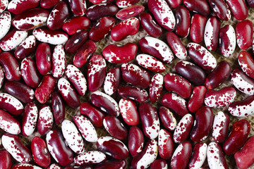 Bright beans close-up. Food background. Background texture of red bean grains. Top view on spotted bean beans. Horizontal. The concept of a healthy diet and agriculture.