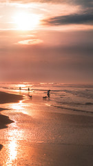 Naklejka premium sunset on the beach