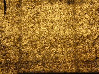 Matière indéterminée très claire