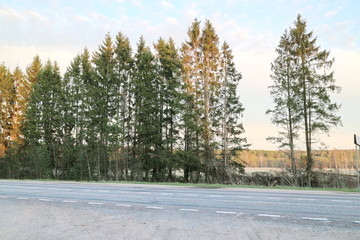 paved road in the countryside