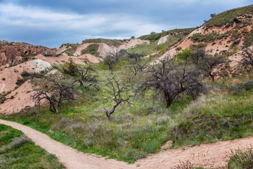 A path among pink cliffs and greenery of Cappadocia trees. Tourism and travel. Beautiful landscape.