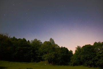 Bosco in montagna al crepuscolo con stelle