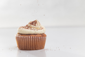 Tiramisu cupcake on white background