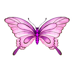 Beautiful watercolor butterfly on a white background. Wings with colorful patterns.
