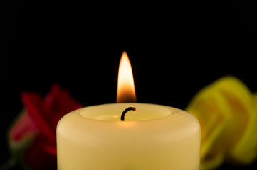 Burning yellow wax candle and two roses