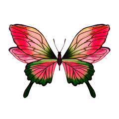 Beautiful watercolor butterfly on a white background. Wings with colorful patterns.