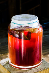 dramatic image of large jar of fermenting kombucha made from black tea with a large scoby.