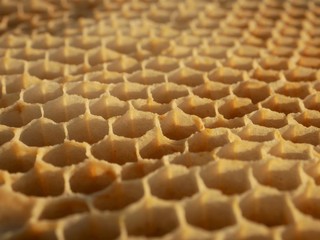 Close up of bee hive honey bee hexagonal cells