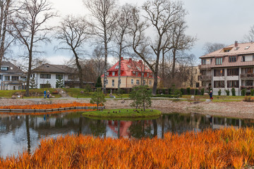 Obraz premium Small pond and bright yellow grass close to it. Autumn season in Japanese garden. Tallinn, Estonia.