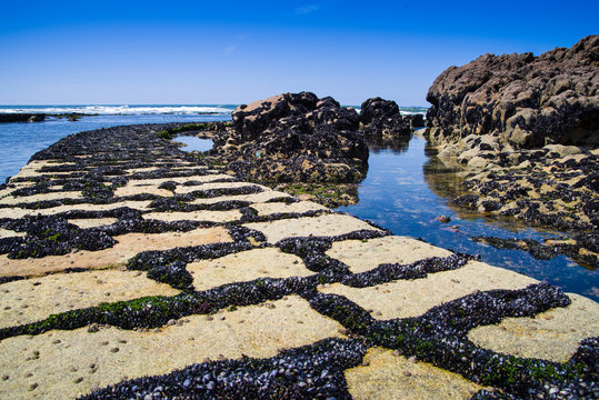 Dique con mejillones en una playa de Oporto (Portugal) con olas y rocas al fondo