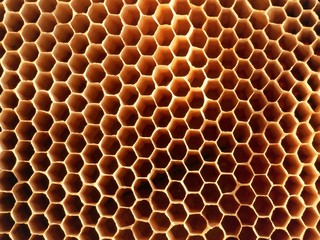 Close up of bee hive honey bee hexagonal cells