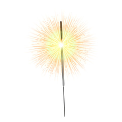 Fototapeta premium Party sparkler icon. Cartoon of party sparkler vector icon for web design isolated on white background