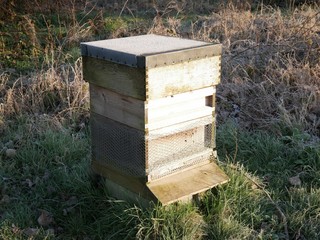 Bee hive honey bee home nest at woodland edge