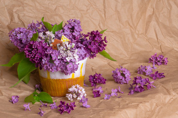 Blooming lilac branches in a clay pot, closeup