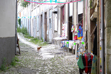 Pequeño comercio de souvenirs en una calle modesta con un perrito delante
