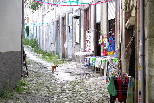 Peque&ntilde;o comercio de souvenirs en una calle modesta con un perrito delante