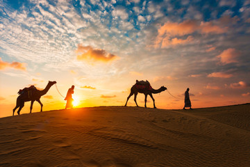Fototapeta na wymiar Indian cameleers (camel driver) bedouin with camel silhouettes in sand dunes of Thar desert on sunset. Caravan in Rajasthan travel tourism background safari adventure. Jaisalmer, Rajasthan, India