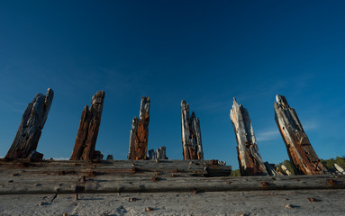 Construction ribs of shipwreck. Fore-and-aft schooner Raketa, built in Rauma, Finland in the post...