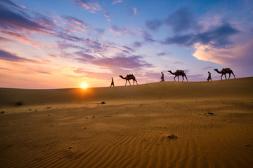 Fototapeta na wymiar Indian cameleers (camel driver) bedouin with camel silhouettes in sand dunes of Thar desert on sunset. Caravan in Rajasthan travel tourism background safari adventure. Jaisalmer, Rajasthan, India