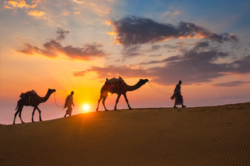 Fototapeta premium Indian cameleers (camel driver) bedouin with camel silhouettes in sand dunes of Thar desert on sunset. Caravan in Rajasthan travel tourism background safari adventure. Jaisalmer, Rajasthan, India