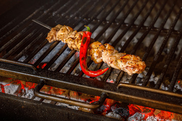 Grilled chicken kebab with hot red pepper on burning charcoal