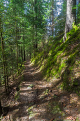 Naklejka premium Hillside trail.