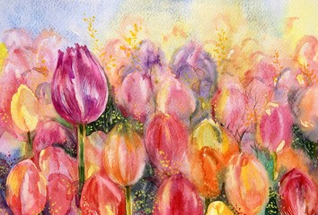 Watercolor tulip flowers meadow. Beautiful bouquet colorful tulips. Spring nature yellow, red, purple, green background. Horizontal view, copy-space. Template for designs, card, posters, wallpaper.