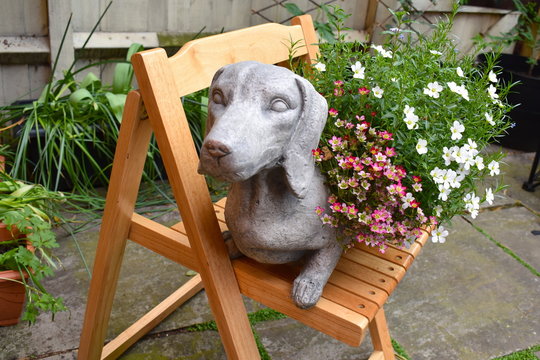 A resin grey sausage dog planter. Frost resistance evergreen flowers in full bloom with soft foliage Touran scarlet blizzard compact and emerald cushion look great outdoors in this friendly animal pot