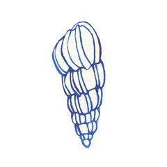 Illustrations of underwater life objects - blue sea shell, marine design. Watercolor hand drawn painting illustration isolated on white background.