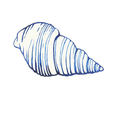 recommend clip art: Illustrations of underwater life objects - blue sea shell, marine design. Watercolor hand drawn painting illustration isolated on white background.
