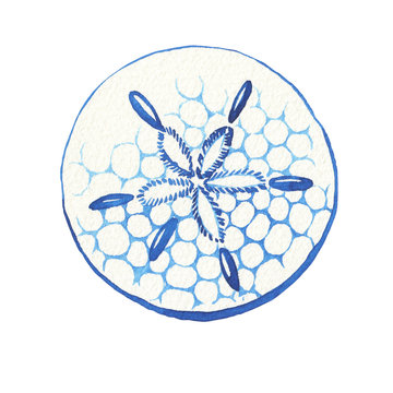 recommend clip art: Illustrations of underwater life objects - blue sea shell, marine design. Watercolor hand drawn painting illustration isolated on white background.