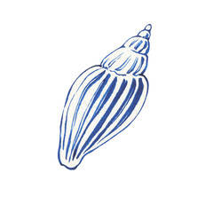 Illustrations of underwater life objects - blue sea shell, marine design. Watercolor hand drawn painting illustration isolated on white background.