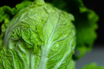 Beijing cabbage close-up, green leaves