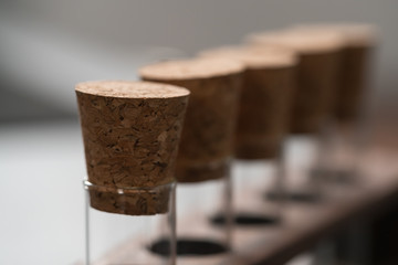 empty walnut holder with glass tubes for spices on concrete surface