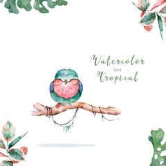 Beautiful floral exotic illustration with pink bird, tropical leaves. Hand drawn watercolor isolated on white background