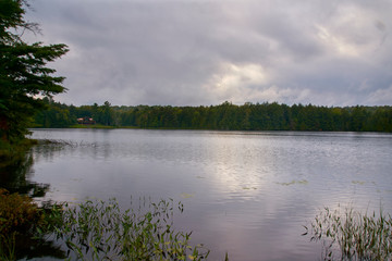 lake in the forest