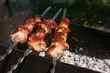 a pork meat on the grill in the spring garden