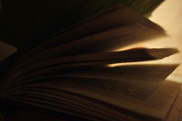 Book pages in the lamplight